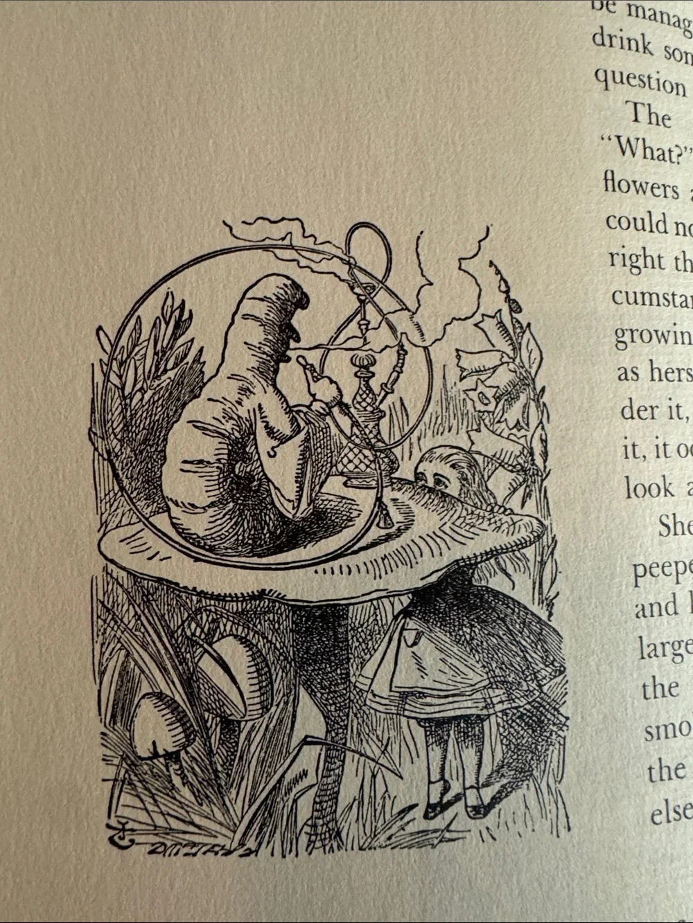1960 Vintage The Annotated Alice by Lewis Carroll With Amazing Illustrations